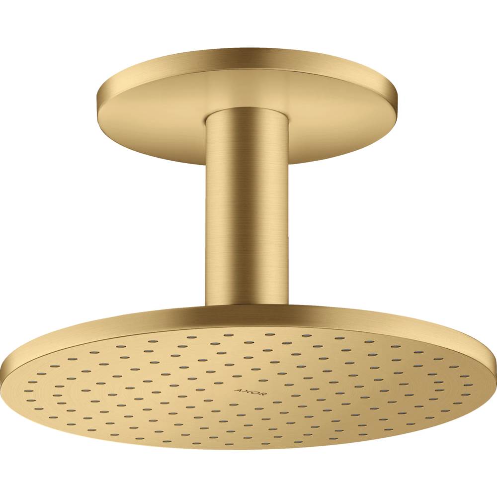Axor ShowerSolutions Showerhead 250 2-Jet Ceiling Connection, 1.75 GPM in Brushed Gold Optic