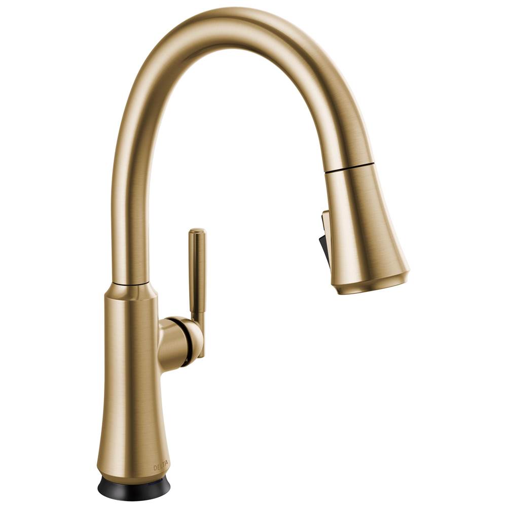Delta Faucet Coranto™ Single Handle Pull-Down Kitchen Faucet with Touch2O® Technology