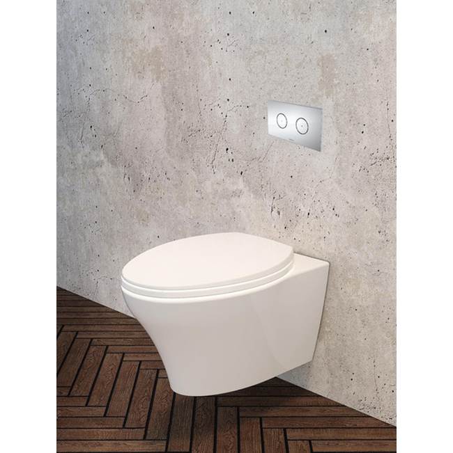 Caroma Invisi Rectangle Dual Flush Plate with Round Buttons - Satin
