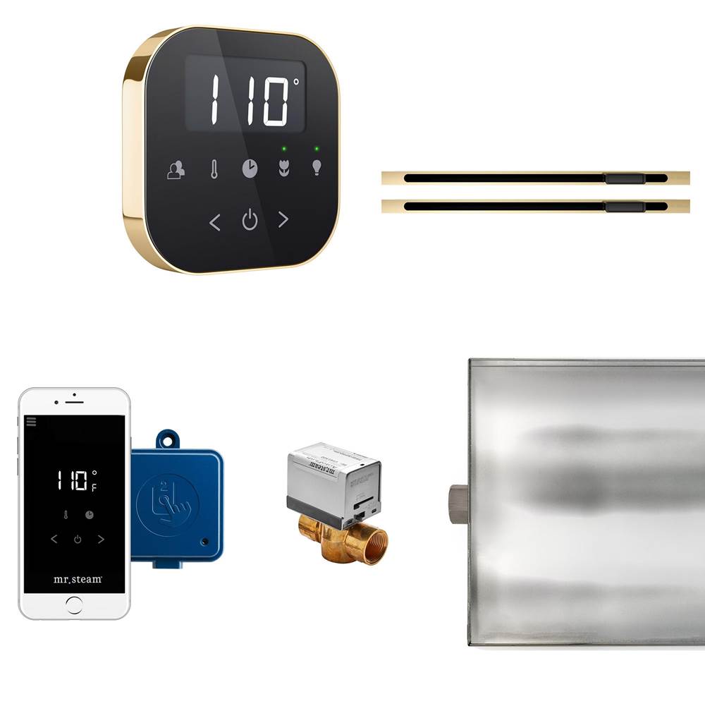 Mr. Steam AirButler Max Linear Steam Shower Control Package with AirTempo Control and Linear SteamHead in Black Polished Brass