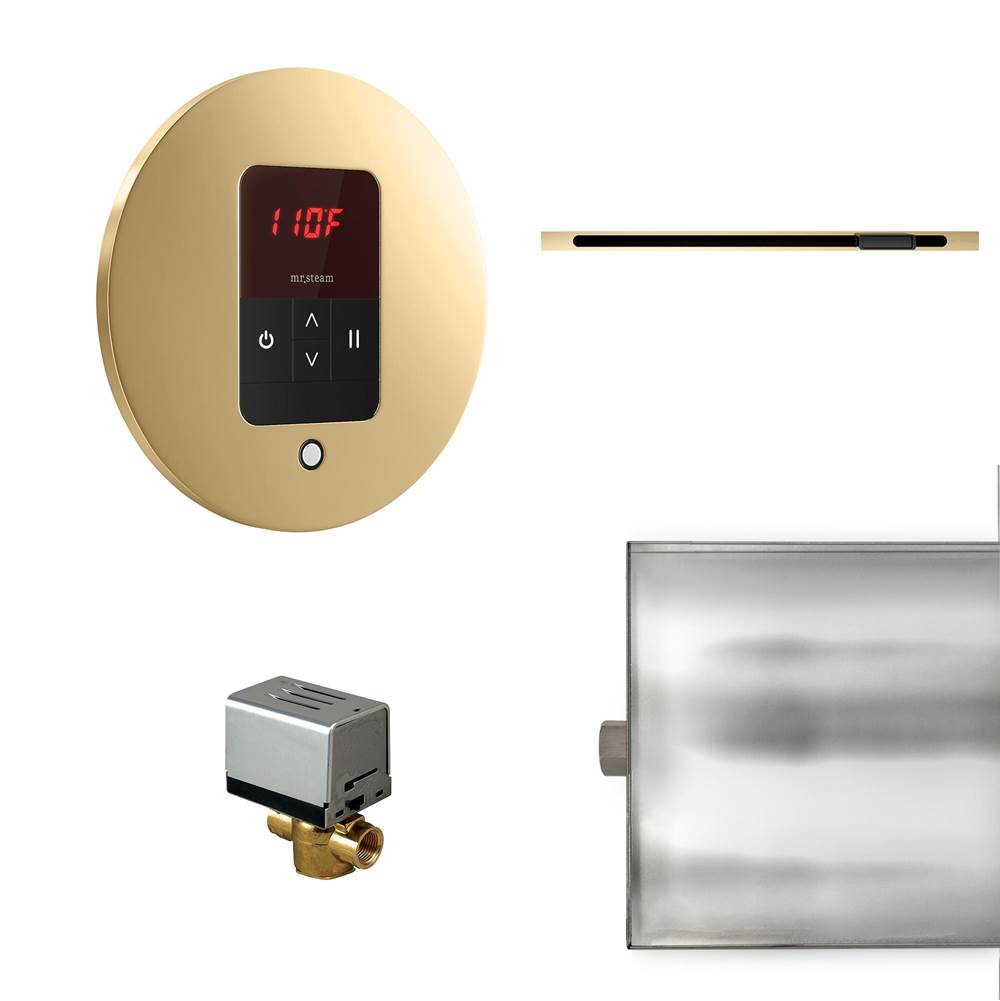 Mr. Steam Basic Butler Linear Steam Shower Control Package with iTempo Control and Linear SteamHead in Round Polished Brass